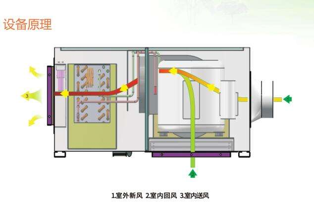 新風草莓视频下载网址