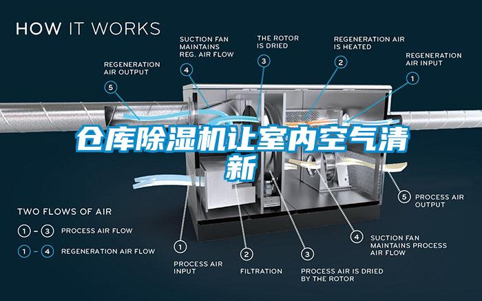 倉庫草莓视频下载网址讓室內空氣清新