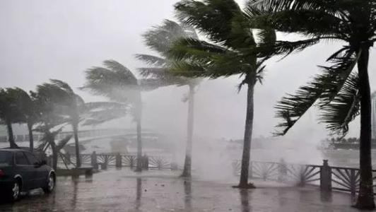 8月台風雨即將來，草莓视频下载网址還得用起來