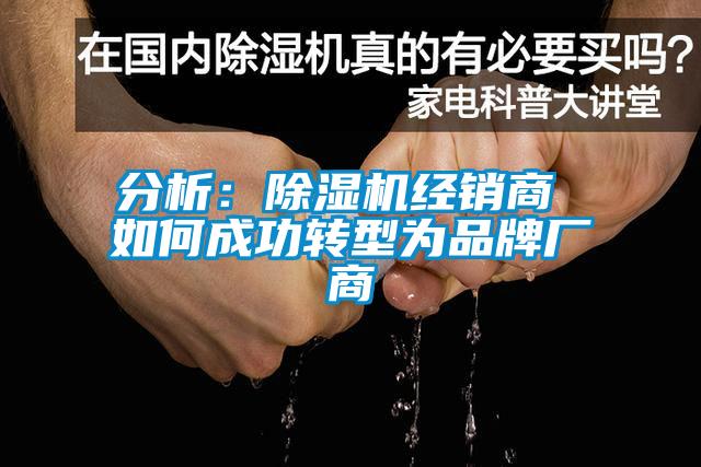 分析：草莓视频下载网址經銷商 如何成功轉型為品牌廠商