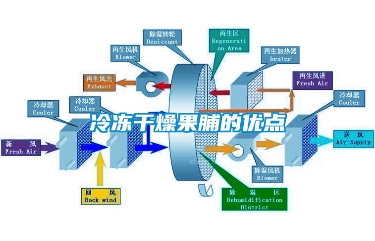 冷凍幹燥果脯的優點