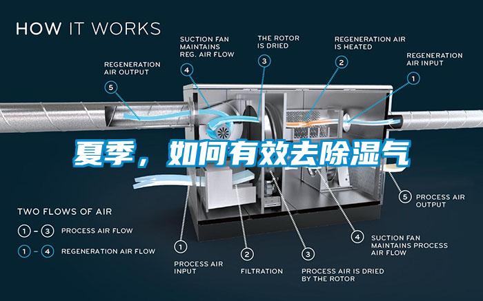 夏季，如何有效去除濕氣