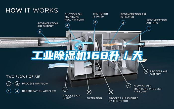 工業草莓视频下载网址168升／天