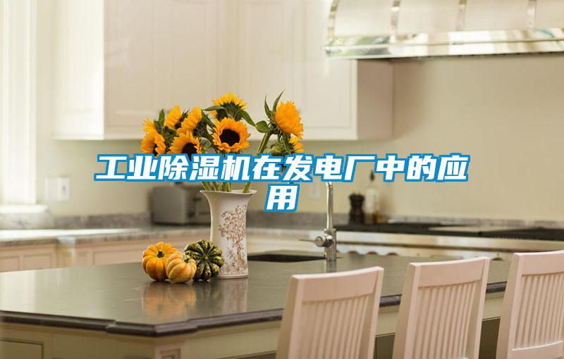 工業草莓视频下载网址在發電廠中的應用