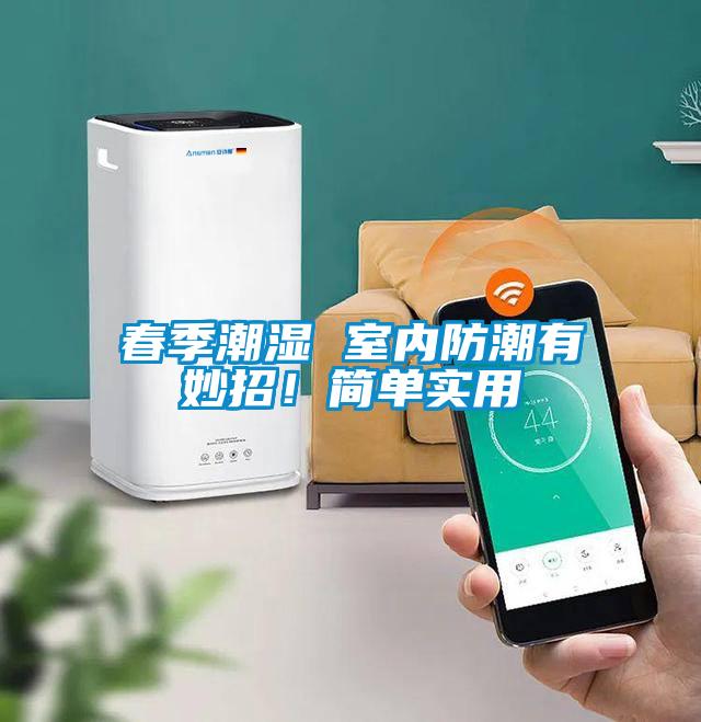 春季潮濕 室內防潮有妙招！簡單實用