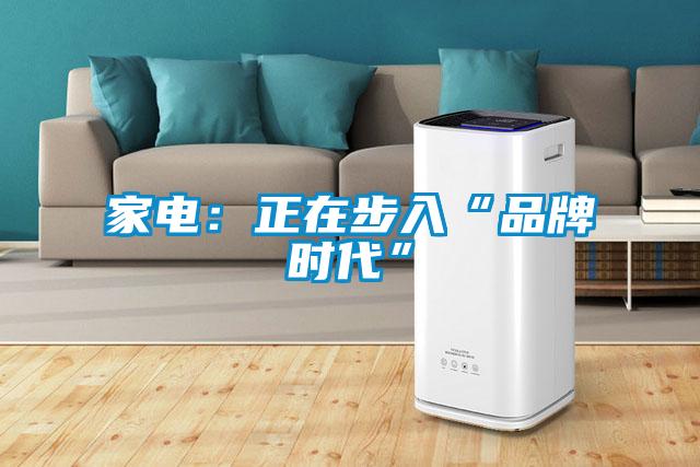 家電：正在步入“品牌時代”