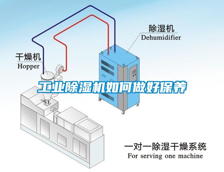 工業草莓视频下载网址如何做好保養