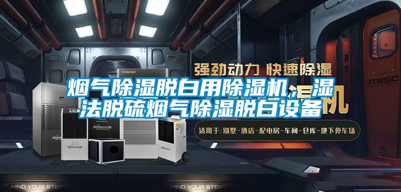 煙氣除濕脫白用草莓视频下载网址，濕法脫硫煙氣除濕脫白設備