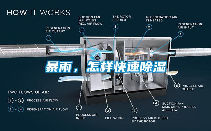 暴雨，怎樣快速除濕