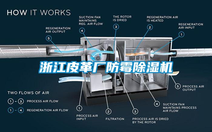 浙江皮革廠防黴草莓视频下载网址