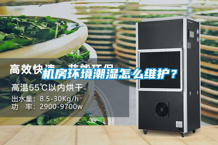 機房環境潮濕怎麽維護？