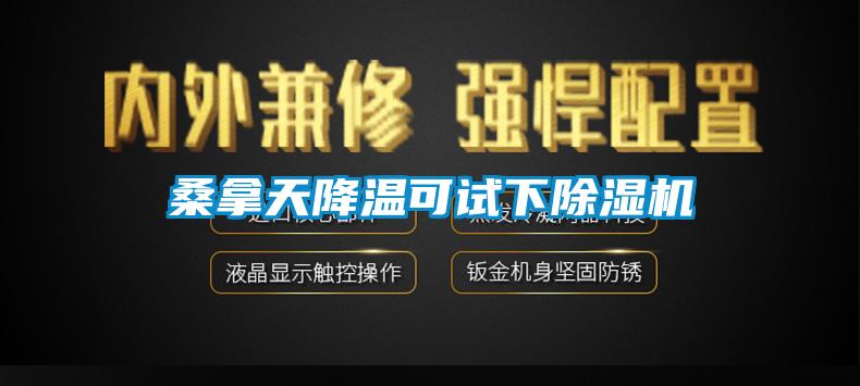 桑拿天降溫可試下草莓视频下载网址