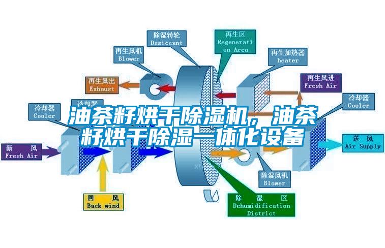 油茶籽烘幹草莓视频下载网址，油茶籽烘幹除濕一體化設備