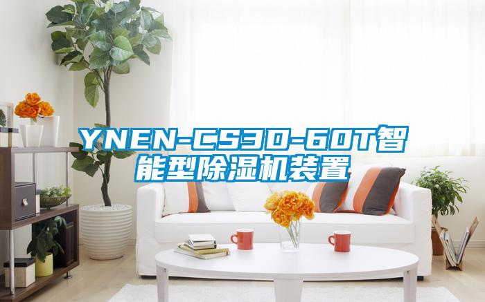 YNEN-CS3D-60T智能型草莓视频下载网址裝置