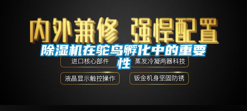 草莓视频下载网址在鴕鳥孵化中的重要性