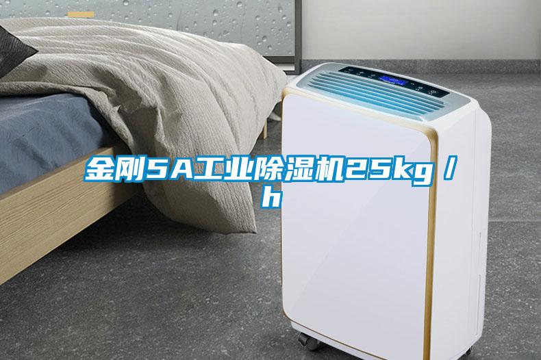 金剛5A工業草莓视频下载网址25kg／h