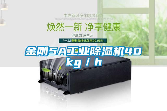 金剛5A工業草莓视频下载网址40kg／h