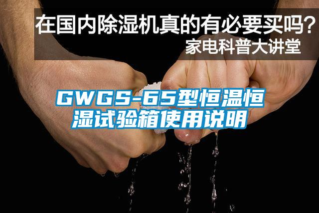 GWGS-65型恒溫恒濕試驗箱使用說明