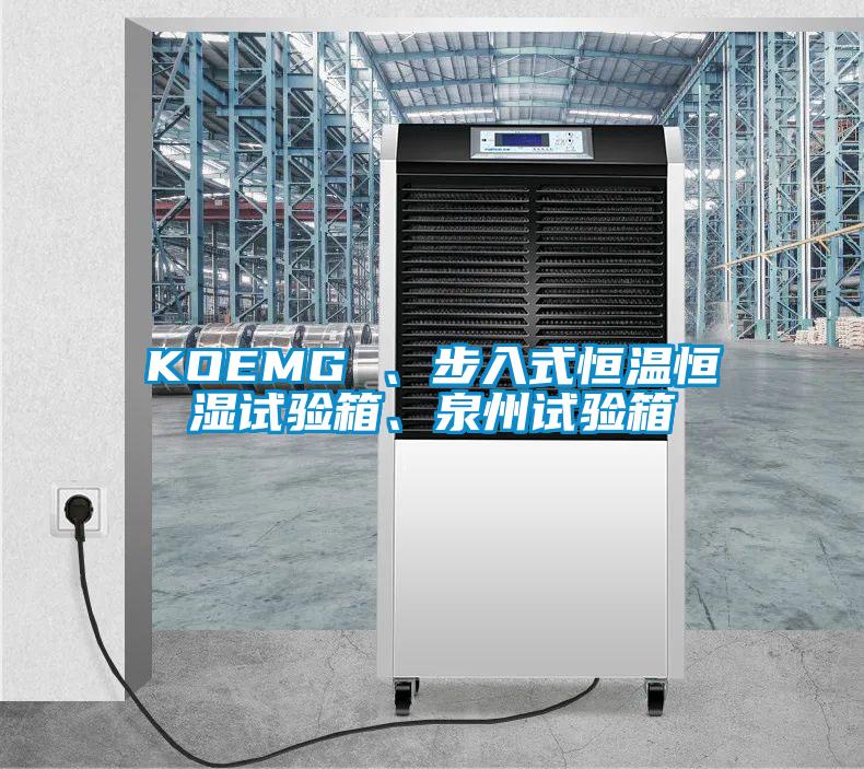 KOEMG 、步入式恒溫恒濕試驗箱、泉州試驗箱