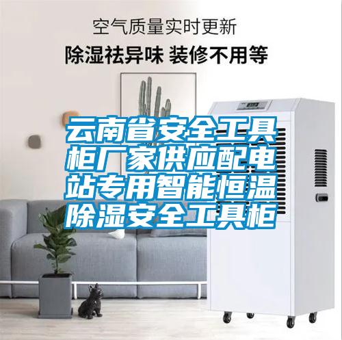 雲南省安全工具櫃廠家供應配電站專用智能恒溫除濕安全工具櫃