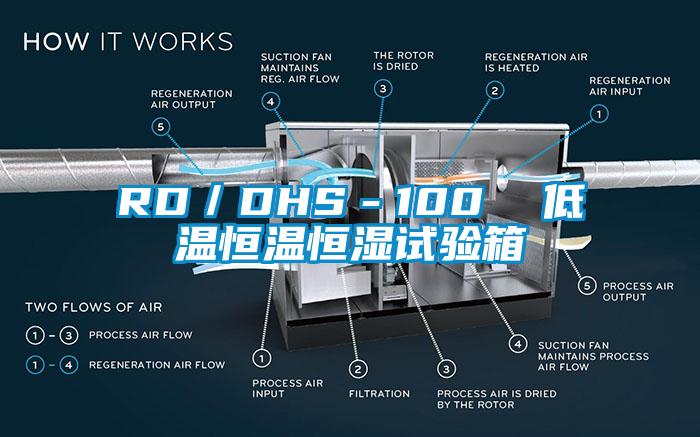 RD／DHS－100  低溫恒溫恒濕試驗箱