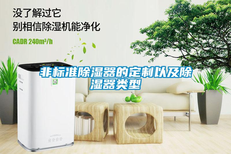 非標準除濕器的定製以及除濕器類型