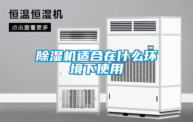 草莓视频下载网址適合在什麽環境下使用