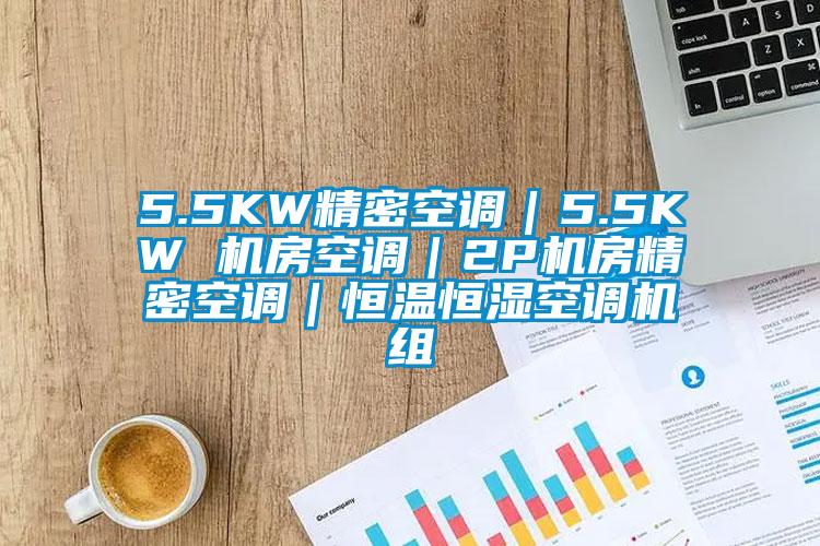 5.5KW精密空調｜5.5KW 機房空調｜2P機房精密空調｜恒溫恒濕空調機組