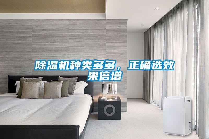 草莓视频下载网址種類多多，正確選效果倍增