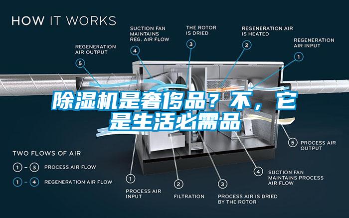 草莓视频下载网址是奢侈品？不，它是生活必需品