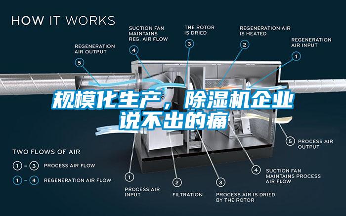 規模化生產，草莓视频下载网址企業說不出的痛