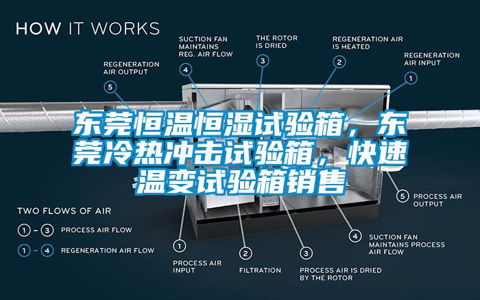 東莞恒溫恒濕試驗箱，東莞冷熱衝擊試驗箱，快速溫變試驗箱銷售