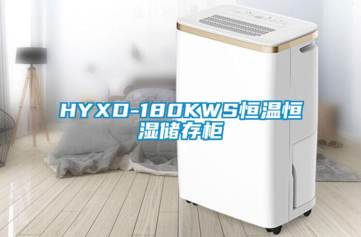 HYXD-180KWS恒溫恒濕儲存櫃