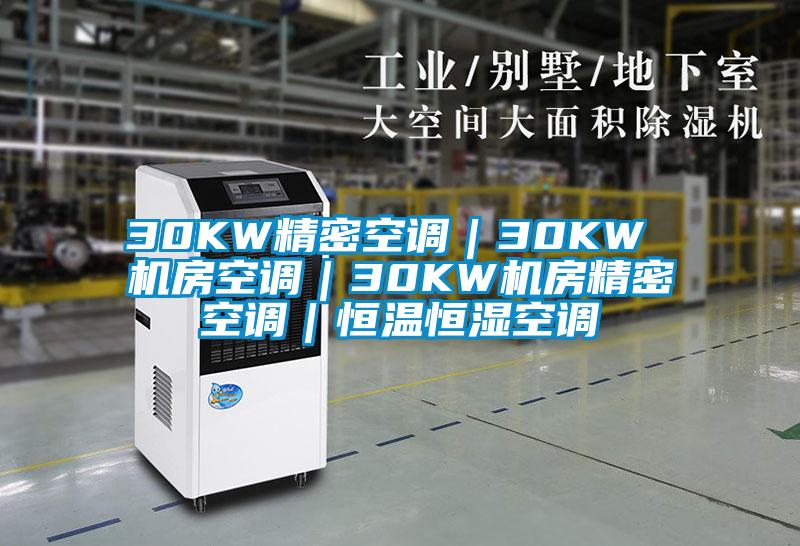 30KW精密空調｜30KW 機房空調｜30KW機房精密空調｜恒溫恒濕空調