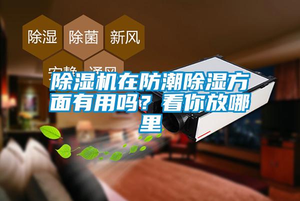 草莓视频下载网址在防潮除濕方麵有用嗎？看你放哪裏