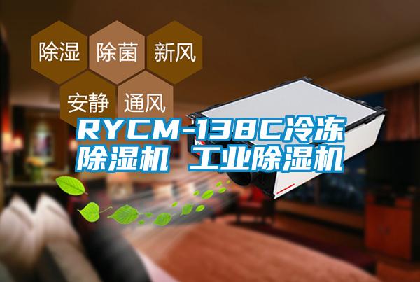 RYCM-138C冷凍草莓视频下载网址 工業草莓视频下载网址