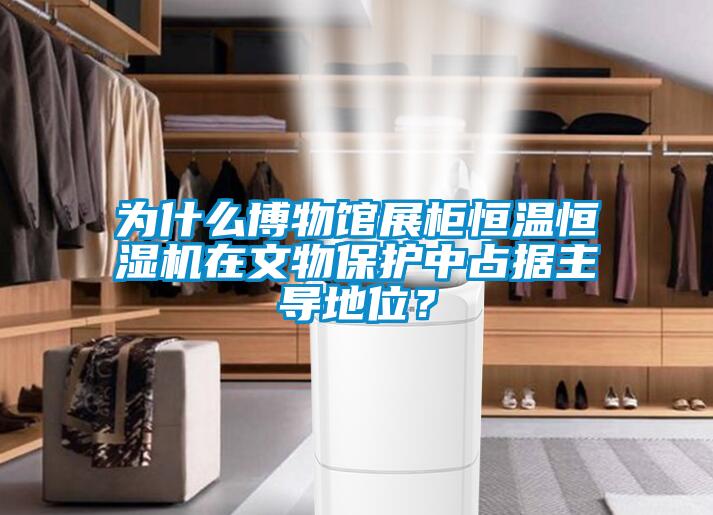 為什麽博物館展櫃恒溫恒濕機在文物保護中占據主導地位？