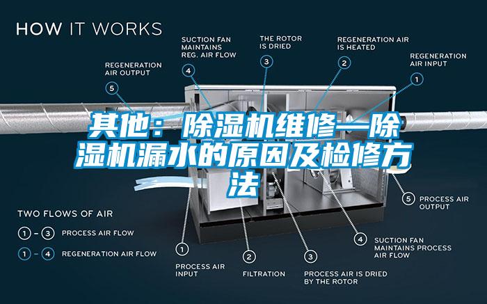 其他：草莓视频下载网址維修—草莓视频下载网址漏水的原因及檢修方法