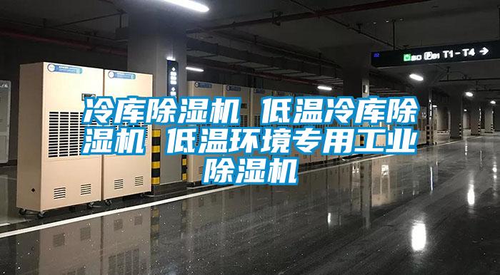 冷庫草莓视频下载网址 低溫冷庫草莓视频下载网址 低溫環境專用工業草莓视频下载网址