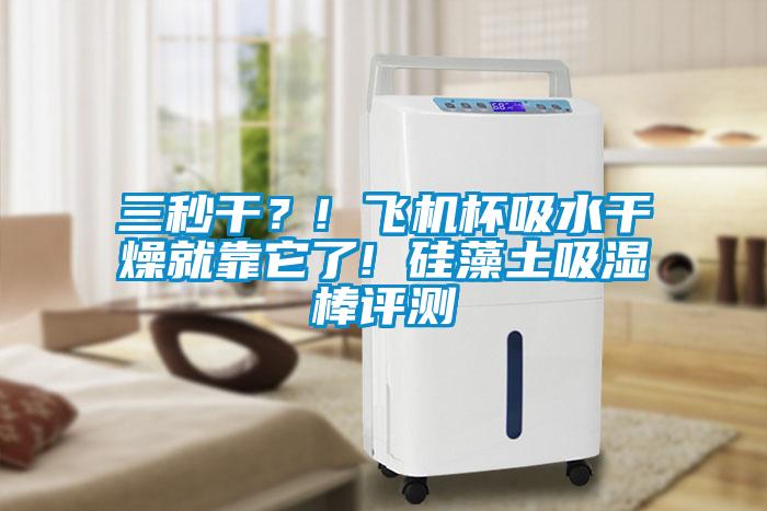 三秒幹？! 飛機杯吸水幹燥就靠它了! 矽藻土吸濕棒評測