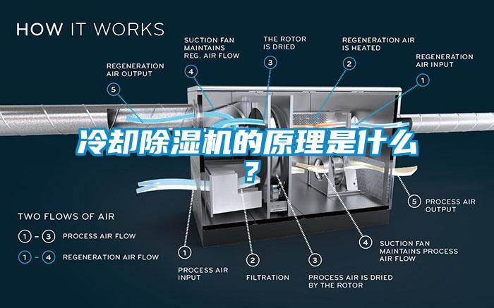 冷卻草莓视频下载网址的原理是什麽？