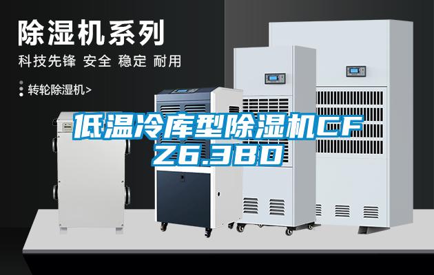 低溫冷庫型草莓视频下载网址CFZ6.3BD