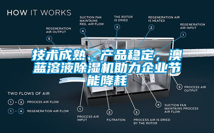 技術成熟、產品穩定，澳藍溶液草莓视频下载网址助力企業節能降耗