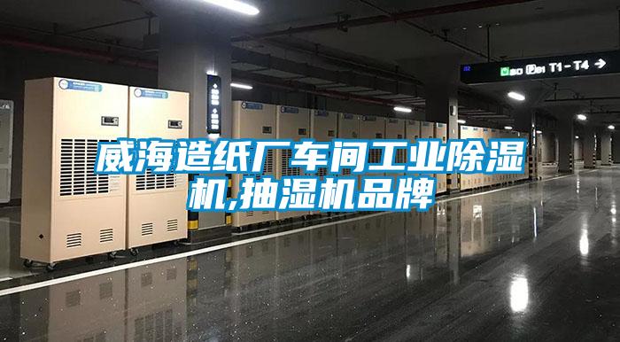 威海造紙廠車間工業草莓视频下载网址,抽濕機品牌