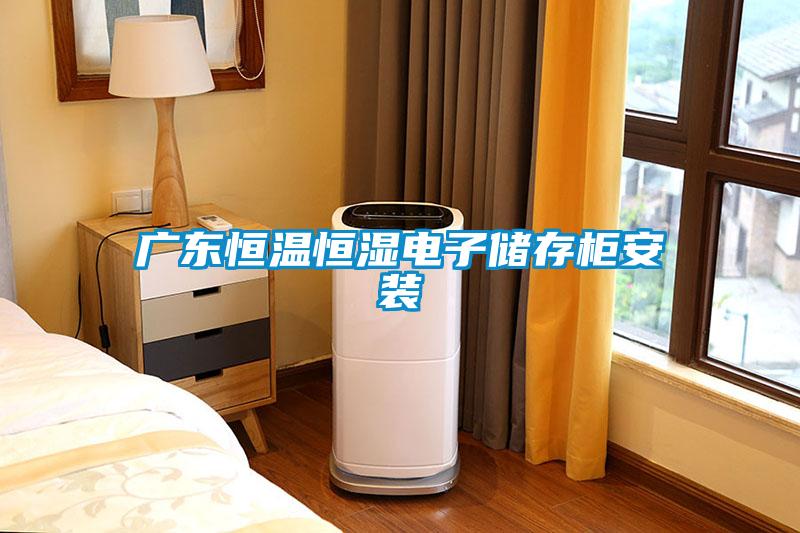 廣東恒溫恒濕電子儲存櫃安裝