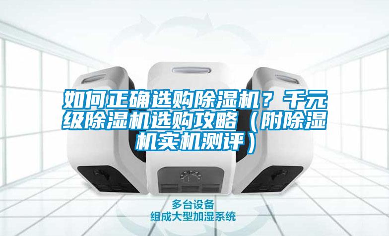 如何正確選購草莓视频下载网址？千元級草莓视频下载网址選購攻略（附草莓视频下载网址實機測評）