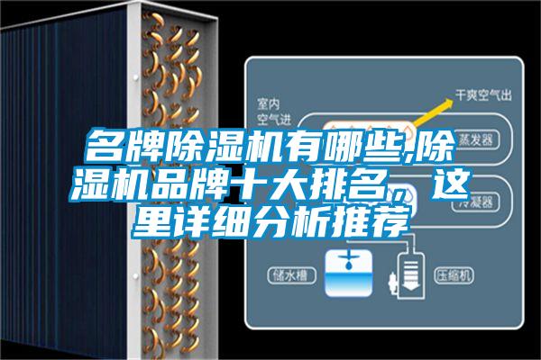 名牌草莓视频下载网址有哪些,草莓视频下载网址品牌十大排名，這裏詳細分析推薦