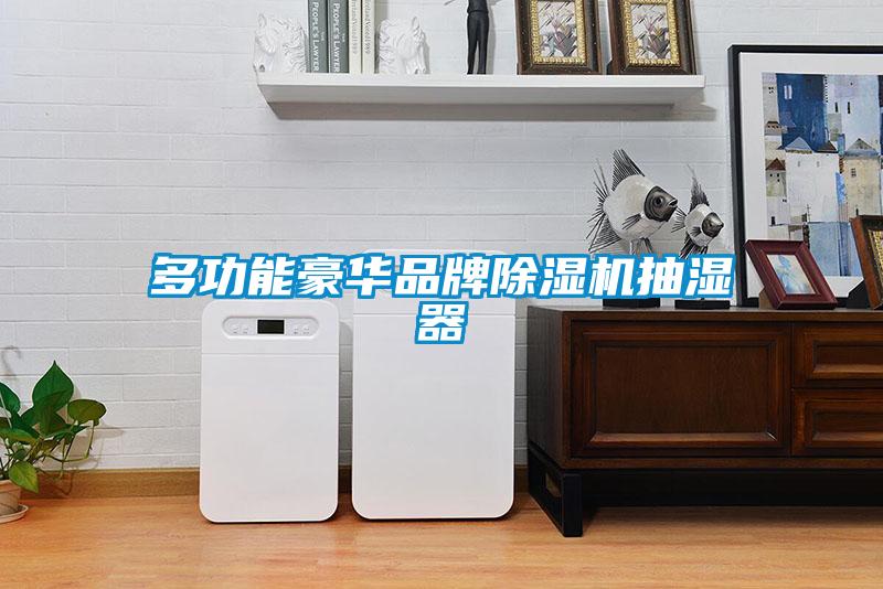 多功能豪華品牌草莓视频下载网址抽濕器