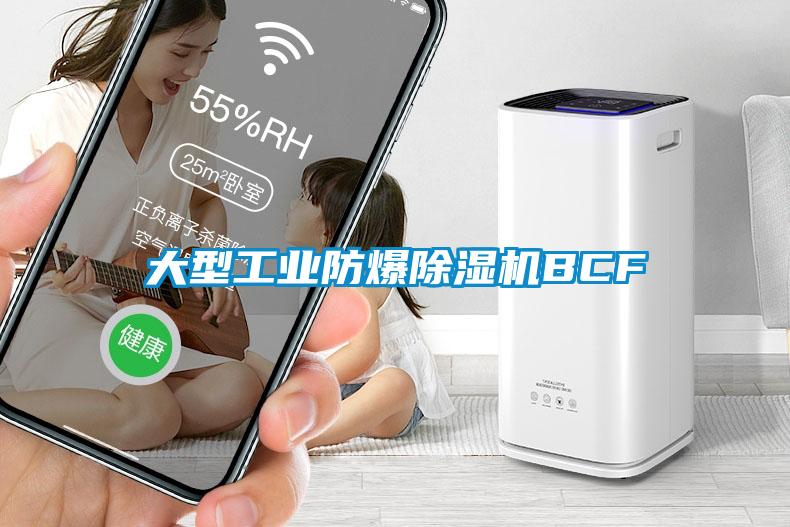 大型工業防爆草莓视频下载网址BCF
