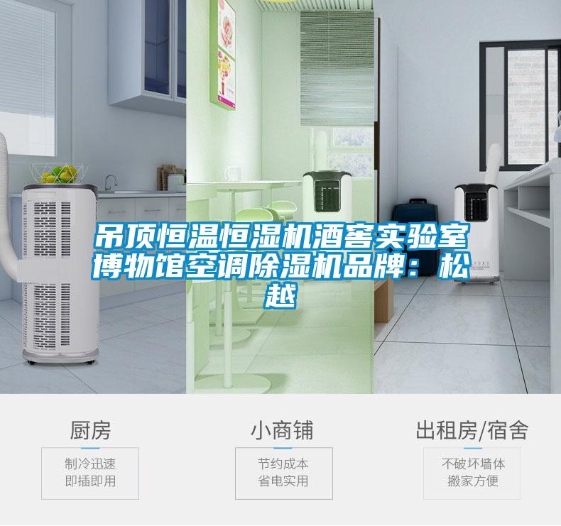 吊頂恒溫恒濕機酒窖實驗室博物館空調草莓视频下载网址品牌：鬆越